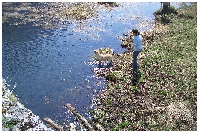 photo25