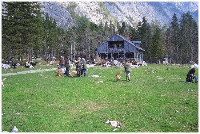photo4