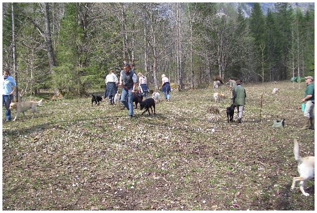 photo41