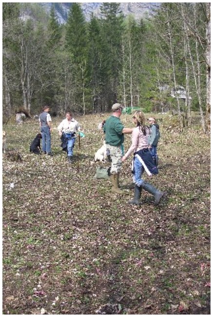 photo42