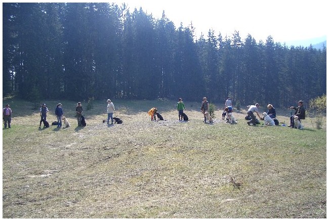 photo47