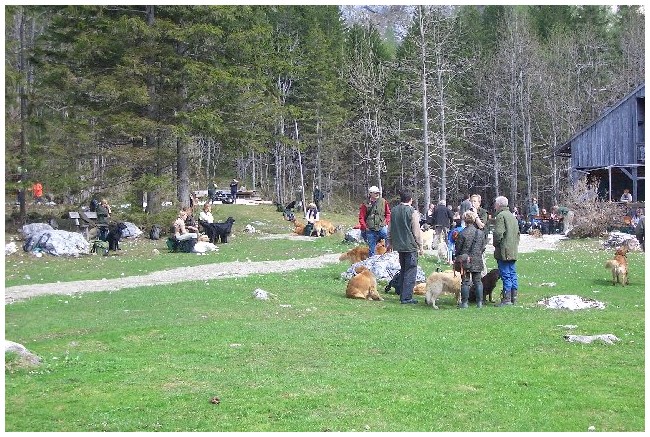 photo5