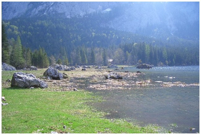 photo8