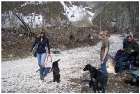 photo15