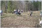 photo41