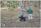 photo44