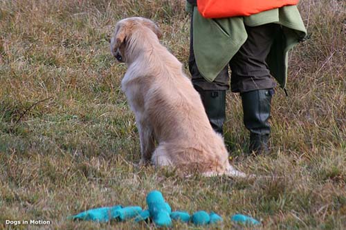 boot-camp