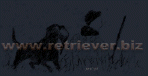 Die Working - Retriever - Seite